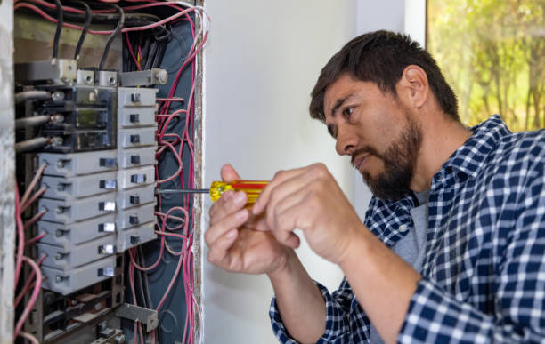 Best Electric Panel Repair  in Brooksville, MS